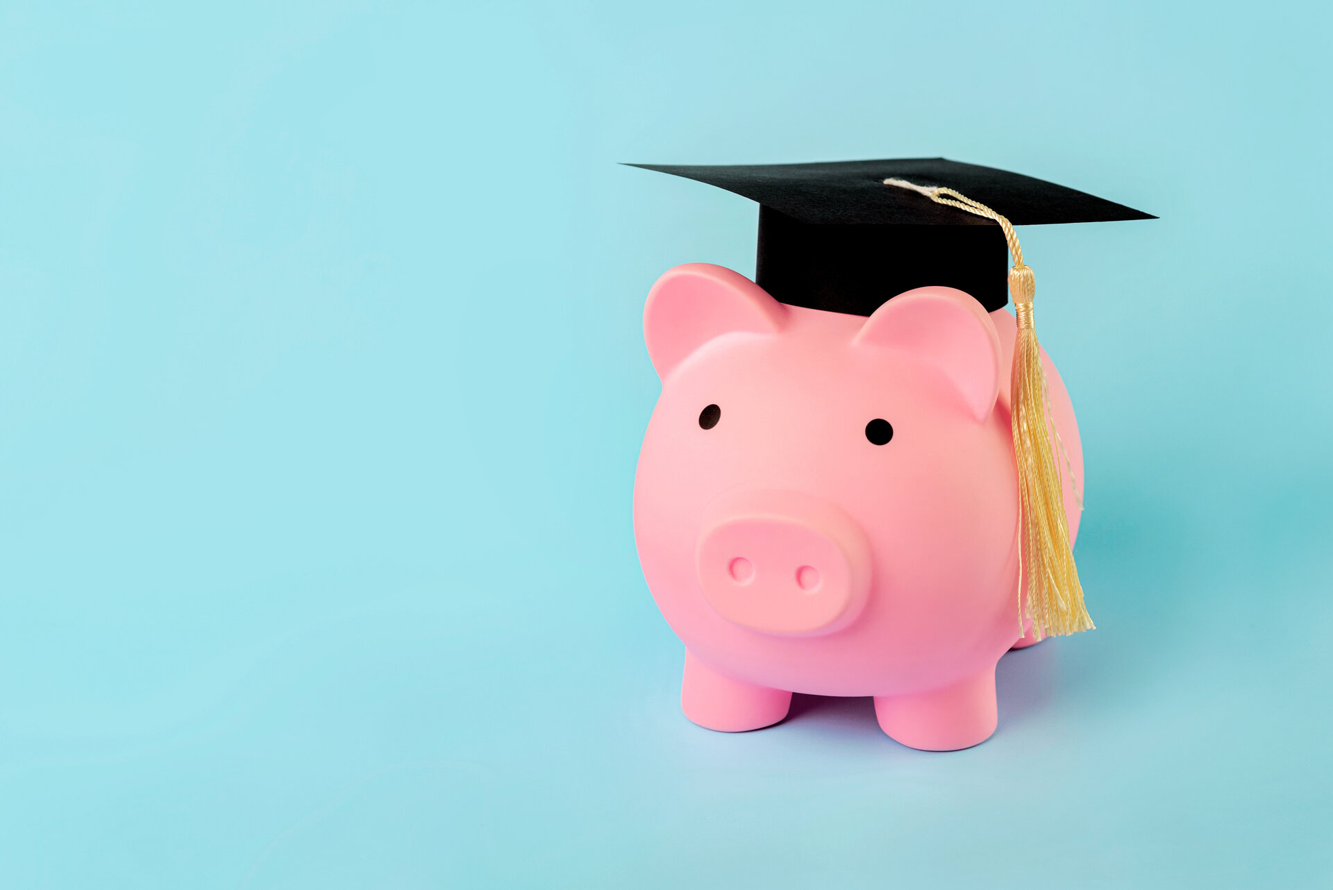 Pink piggy money bank with graduation cap
